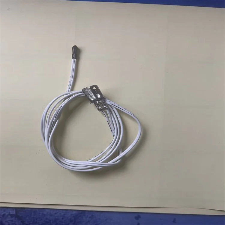 RTD sensor RTD sensor